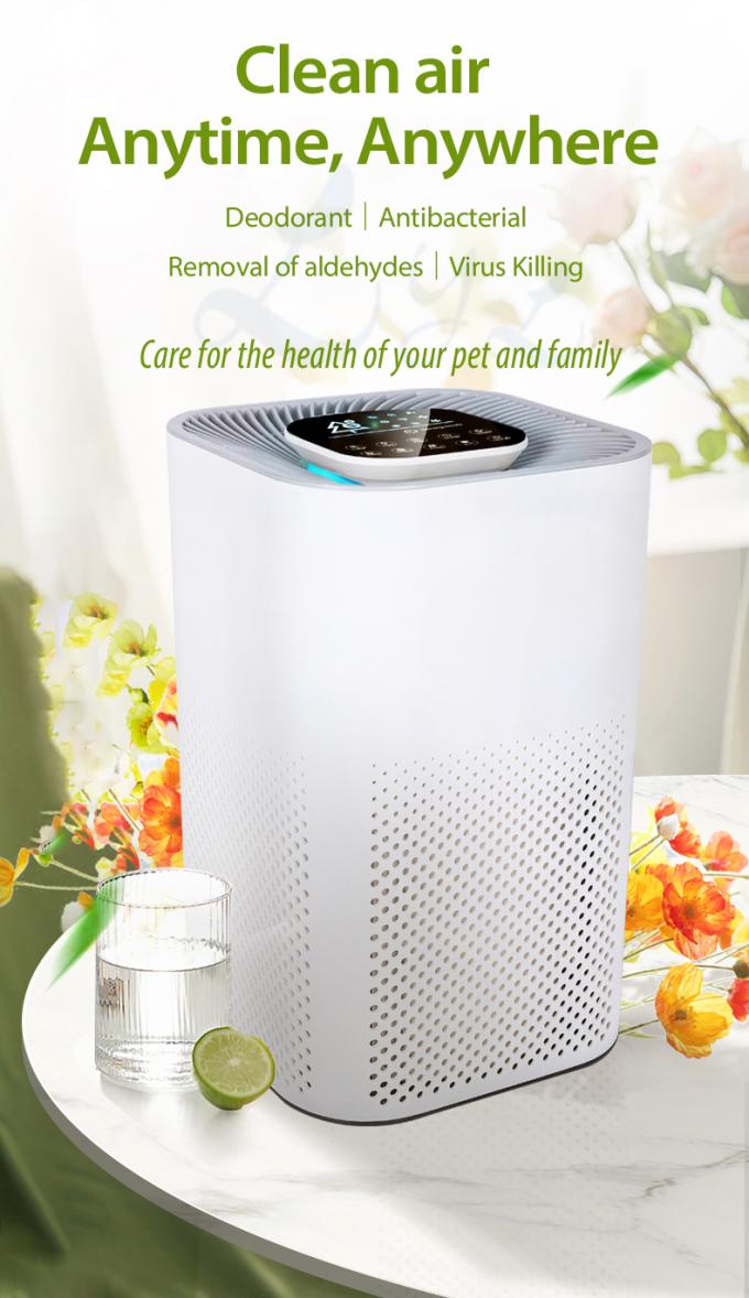 2022 New Purificador De Aire Hepa Desktop Ionized Air Purifier Negative Ion True Hepa Filter Portable Air Purifier Manufacturer 2
