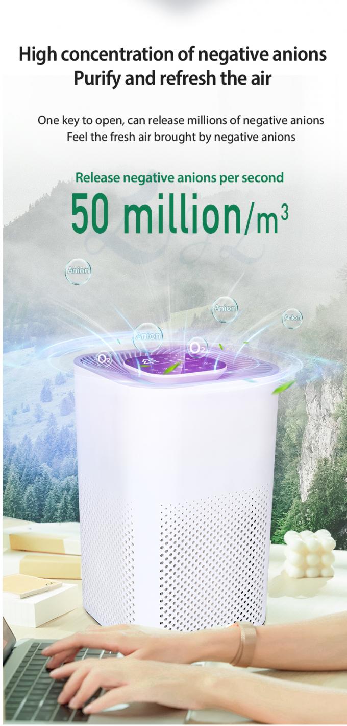 2022 New Purificador De Aire Hepa Desktop Ionized Air Purifier Negative Ion True Hepa Filter Portable Air Purifier Manufacturer 6