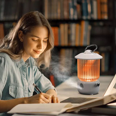 Good price HOMEFISH Tabletop Battery Operated USB Air Humidifier 260ml online