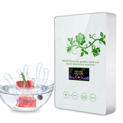 Good price HOMEFISH Commercial Air Purifier Kitchen Use Active Oxygen Fruit And Vegetable Sterilizing Machine 400mg/H online