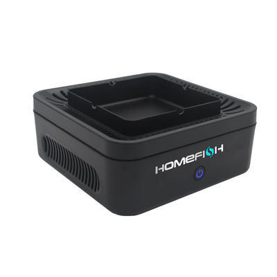 Good price Homefish OEM 2023 Newest Purificador De Aire Portatil Purificateur Ions Negative Air Purifier For Car Home Ashtray Air Purifier online