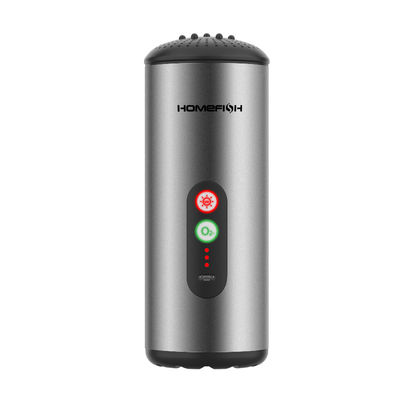 Goede prijs HOMEFISH Ozongenerator Auto luchtreiniger 50mg/H UV sterilisatie online